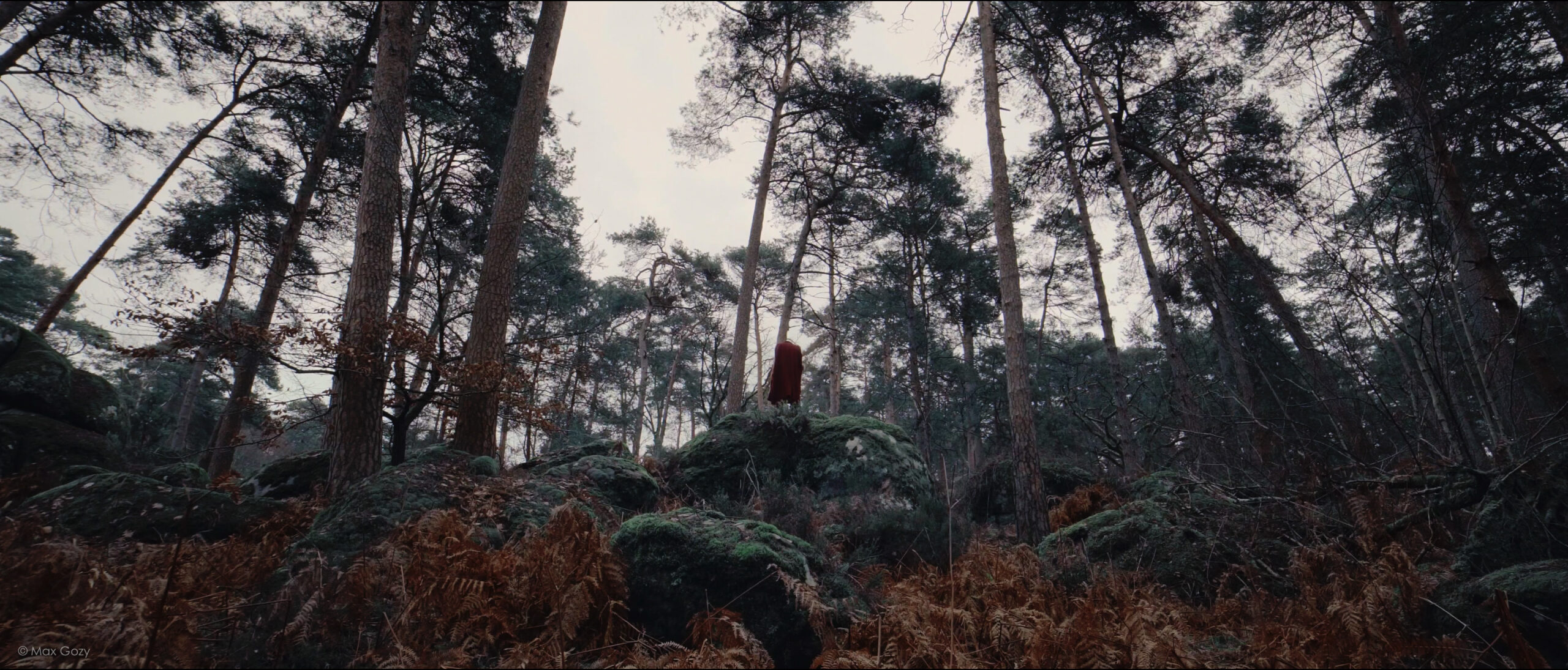 Grief de Florence Peyrard et  Max Gozy